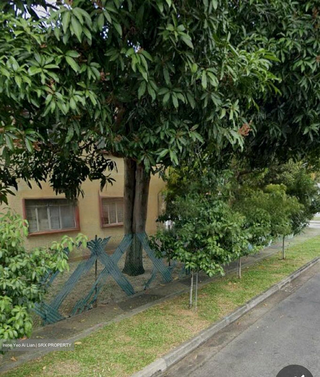Frankel Estate (D15), Terrace #473358991